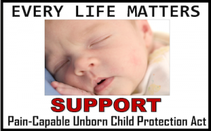 pcucpa-pro-life-petition