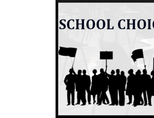 SCHOOL CHOICE MARCHES ON