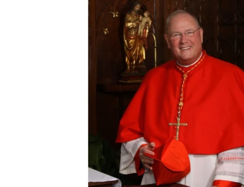 CARDINAL DOLAN VERBALLY ABUSED